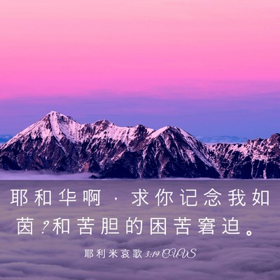 Picture 03 - 耶 利 米 哀 歌 3:19 CUVS - 耶 和 华 啊 ， 求 你 记 念 我 如 茵 ? - Bible Verse Picture