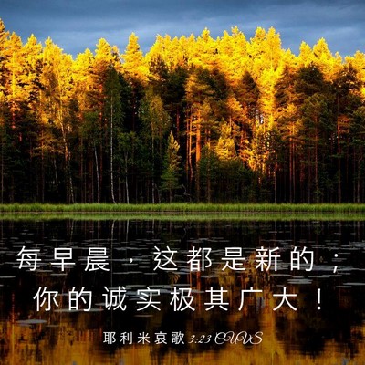 Picture 03 - 耶 利 米 哀 歌 3:23 CUVS - 每 早 晨 ， 这 都 是 新 的 ； 你 的 - Bible Verse Picture
