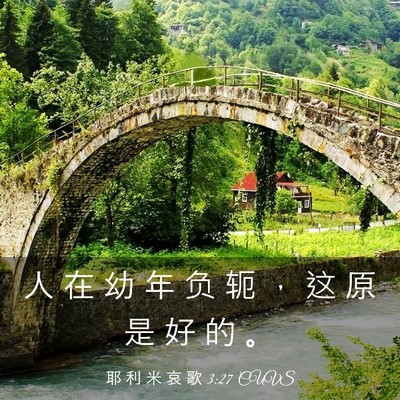 Picture 03 - 耶 利 米 哀 歌 3:27 CUVS - 人 在 幼 年 负 轭 ， 这 原 是 好 的 - Bible Verse Picture