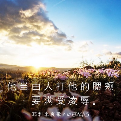 Picture 03 - 耶 利 米 哀 歌 3:30 CUVS - 他 当 由 人 打 他 的 腮 颊 ， 要 满 - Bible Verse Picture