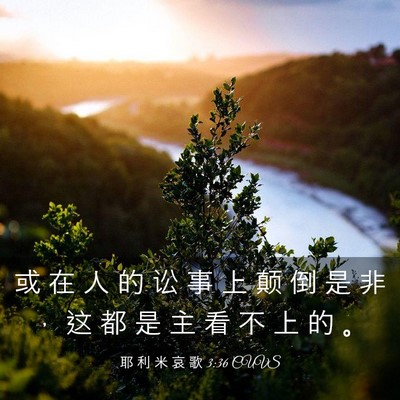 Picture 03 - 耶 利 米 哀 歌 3:36 CUVS - 或 在 人 的 讼 事 上 颠 倒 是 非 ， - Bible Verse Picture