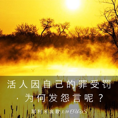 Picture 03 - 耶 利 米 哀 歌 3:39 CUVS - 活 人 因 自 己 的 罪 受 罚 ， 为 何 - Bible Verse Picture