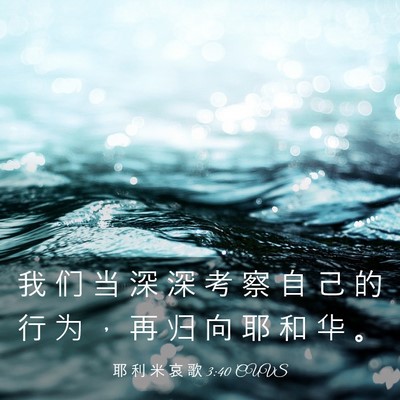 Picture 03 - 耶 利 米 哀 歌 3:40 CUVS - 我 们 当 深 深 考 察 自 己 的 行 为 - Bible Verse Picture
