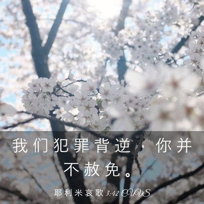 Picture 03 - 耶 利 米 哀 歌 3:42 CUVS - 我 们 犯 罪 背 逆 ， 你 并 不 赦 免 - Bible Verse Picture