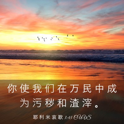 Picture 03 - 耶 利 米 哀 歌 3:45 CUVS - 你 使 我 们 在 万 民 中 成 为 污 秽 - Bible Verse Picture