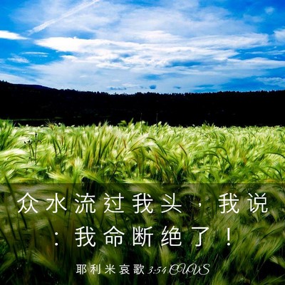 Picture 03 - 耶 利 米 哀 歌 3:54 CUVS - 众 水 流 过 我 头 ， 我 说 ： 我 命 - Bible Verse Picture