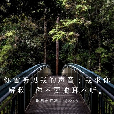 Picture 03 - 耶 利 米 哀 歌 3:56 CUVS - 你 曾 听 见 我 的 声 音 ； 我 求 你 - Bible Verse Picture