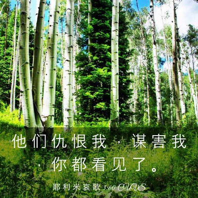 Picture 03 - 耶 利 米 哀 歌 3:60 CUVS - 他 们 仇 恨 我 ， 谋 害 我 ， 你 都 - Bible Verse Picture