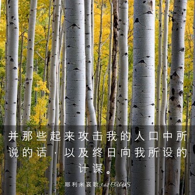 Picture 03 - 耶 利 米 哀 歌 3:62 CUVS - 并 那 些 起 来 攻 击 我 的 人 口 中 - Bible Verse Picture