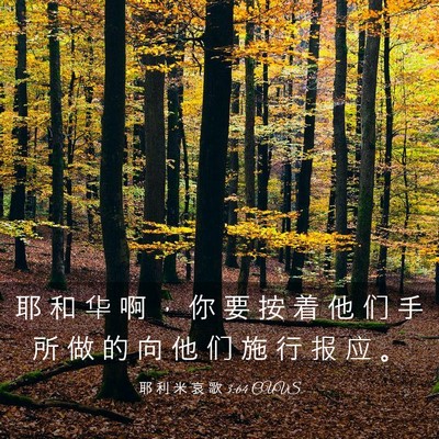 Picture 03 - 耶 利 米 哀 歌 3:64 CUVS - 耶 和 华 啊 ， 你 要 按 着 他 们 手 - Bible Verse Picture