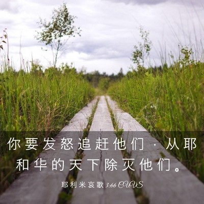 Picture 03 - 耶 利 米 哀 歌 3:66 CUVS - 你 要 发 怒 追 赶 他 们 ， 从 耶 和 - Bible Verse Picture