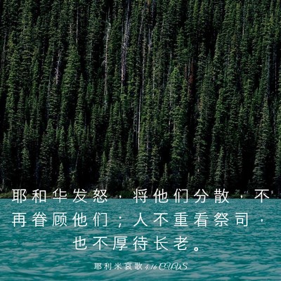 Picture 03 - 耶 利 米 哀 歌 4:16 CUVS - 耶 和 华 发 怒 ， 将 他 们 分 散 ， - Bible Verse Picture