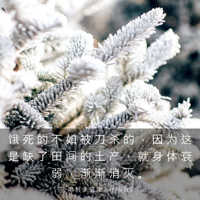 Picture 03 - 耶 利 米 哀 歌 4:9 CUVS - 饿 死 的 不 如 被 刀 杀 的 ， 因 为 - Bible Verse Picture