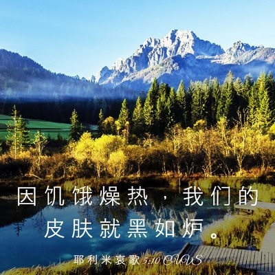 Picture 03 - 耶 利 米 哀 歌 5:10 CUVS - 因 饥 饿 燥 热 ， 我 们 的 皮 肤 就 - Bible Verse Picture