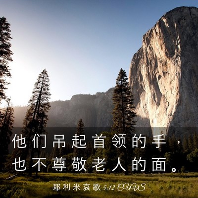 Picture 03 - 耶 利 米 哀 歌 5:12 CUVS - 他 们 吊 起 首 领 的 手 ， 也 不 尊 - Bible Verse Picture