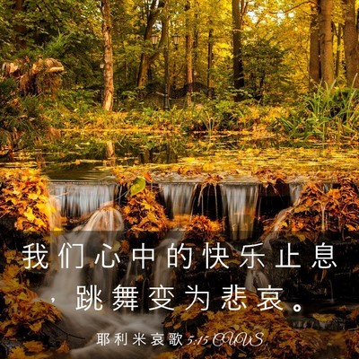 Picture 03 - 耶 利 米 哀 歌 5:15 CUVS - 我 们 心 中 的 快 乐 止 息 ， 跳 舞 - Bible Verse Picture
