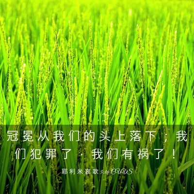 Picture 03 - 耶 利 米 哀 歌 5:16 CUVS - 冠 冕 从 我 们 的 头 上 落 下 ； 我 - Bible Verse Picture