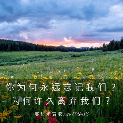 Picture 03 - 耶 利 米 哀 歌 5:20 CUVS - 你 为 何 永 远 忘 记 我 们 ？ 为 何 - Bible Verse Picture