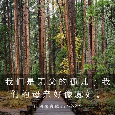 Picture 03 - 耶 利 米 哀 歌 5:3 CUVS - 我 们 是 无 父 的 孤 儿 ； 我 们 的 - Bible Verse Picture