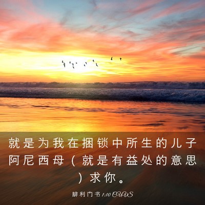 Picture 03 - 腓 利 门 书 1:10 CUVS - 就 是 为 我 在 捆 锁 中 所 生 的 儿 - Bible Verse Picture