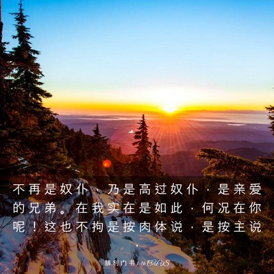 Picture 03 - 腓 利 门 书 1:16 CUVS - 不 再 是 奴 仆 ， 乃 是 高 过 奴 仆 - Bible Verse Picture
