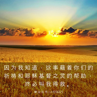Picture 03 - 腓 立 比 书 1:19 CUVS - 因 为 我 知 道 ， 这 事 藉 着 你 们 - Bible Verse Picture