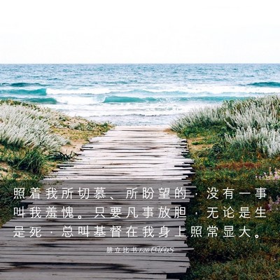 Picture 03 - 腓 立 比 书 1:20 CUVS - 照 着 我 所 切 慕 、 所 盼 望 的 ， - Bible Verse Picture