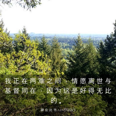 Picture 03 - 腓 立 比 书 1:23 CUVS - 我 正 在 两 难 之 间 ， 情 愿 离 世 - Bible Verse Picture