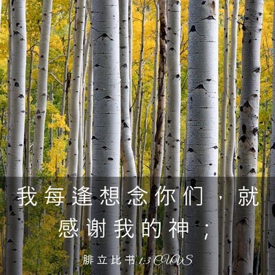 Picture 03 - 腓 立 比 书 1:3 CUVS - 我 每 逢 想 念 你 们 ， 就 感 谢 我 - Bible Verse Picture