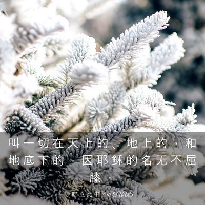 Picture 03 - 腓 立 比 书 2:10 CUVS - 叫 一 切 在 天 上 的 、 地 上 的 ， - Bible Verse Picture