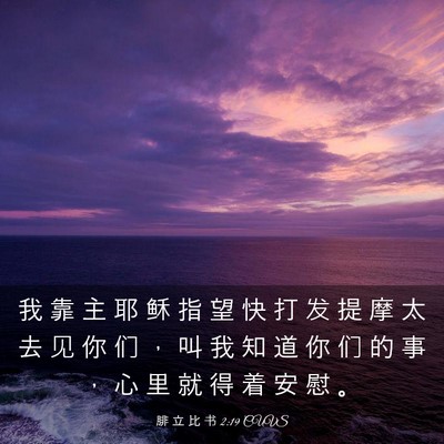 Picture 03 - 腓 立 比 书 2:19 CUVS - 我 靠 主 耶 稣 指 望 快 打 发 提 摩 - Bible Verse Picture