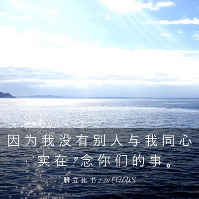 Picture 03 - 腓 立 比 书 2:20 CUVS - 因 为 我 没 有 别 人 与 我 同 心 ， - Bible Verse Picture