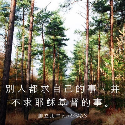 Picture 03 - 腓 立 比 书 2:21 CUVS - 别 人 都 求 自 己 的 事 ， 并 不 求 - Bible Verse Picture