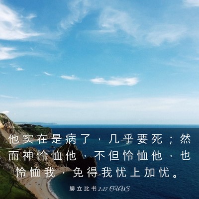 Picture 03 - 腓 立 比 书 2:27 CUVS - 他 实 在 是 病 了 ， 几 乎 要 死 ； - Bible Verse Picture