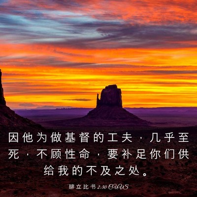 Picture 03 - 腓 立 比 书 2:30 CUVS - 因 他 为 做 基 督 的 工 夫 ， 几 乎 - Bible Verse Picture