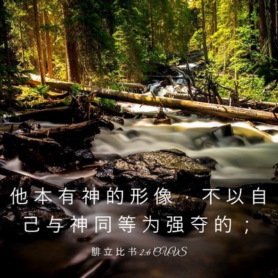 Picture 03 - 腓 立 比 书 2:6 CUVS - 他 本 有 神 的 形 像 ， 不 以 自 己 - Bible Verse Picture