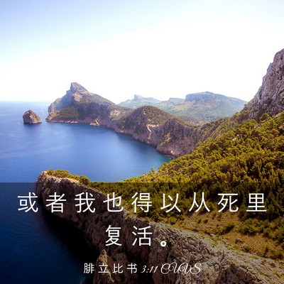 Picture 03 - 腓 立 比 书 3:11 CUVS - 或 者 我 也 得 以 从 死 里 复 活 - Bible Verse Picture