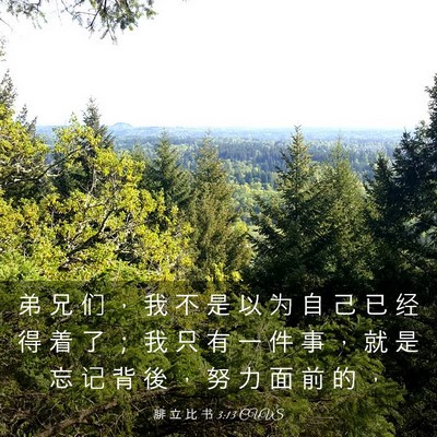 Picture 03 - 腓 立 比 书 3:13 CUVS - 弟 兄 们 ， 我 不 是 以 为 自 己 已 - Bible Verse Picture