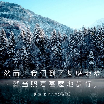 Picture 03 - 腓 立 比 书 3:16 CUVS - 然 而 ， 我 们 到 了 甚 麽 地 步 ， - Bible Verse Picture