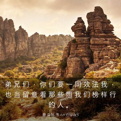 Picture 03 - 腓 立 比 书 3:17 CUVS - 弟 兄 们 ， 你 们 要 一 同 效 法 我 - Bible Verse Picture