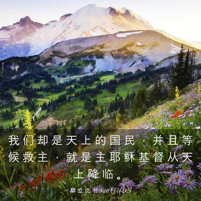 Picture 03 - 腓 立 比 书 3:20 CUVS - 我 们 却 是 天 上 的 国 民 ， 并 且 - Bible Verse Picture