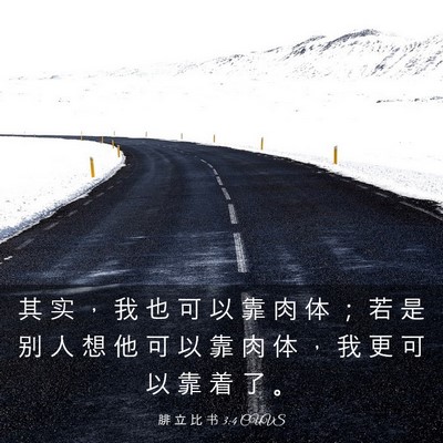 Picture 03 - 腓 立 比 书 3:4 CUVS - 其 实 ， 我 也 可 以 靠 肉 体 ； 若 - Bible Verse Picture