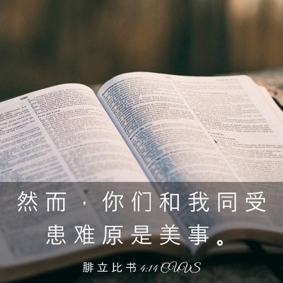 Picture 03 - 腓 立 比 书 4:14 CUVS - 然 而 ， 你 们 和 我 同 受 患 难 原 - Bible Verse Picture