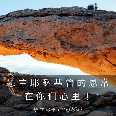 Picture 03 - 腓 立 比 书 4:23 CUVS - 愿 主 耶 稣 基 督 的 恩 常 在 你 们 - Bible Verse Picture