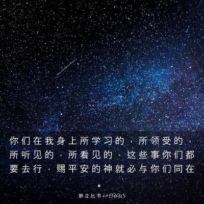 Picture 03 - 腓 立 比 书 4:9 CUVS - 你 们 在 我 身 上 所 学 习 的 ， 所 - Bible Verse Picture