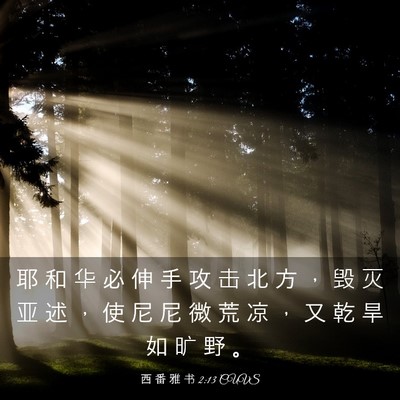 Picture 03 - 西 番 雅 书 2:13 CUVS - 耶 和 华 必 伸 手 攻 击 北 方 ， 毁 - Bible Verse Picture