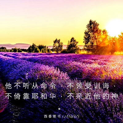 Picture 03 - 西 番 雅 书 3:2 CUVS - 他 不 听 从 命 令 ， 不 领 受 训 诲 - Bible Verse Picture
