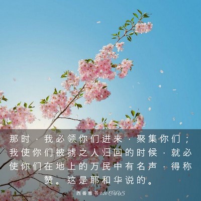 Picture 03 - 西 番 雅 书 3:20 CUVS - 那 时 ， 我 必 领 你 们 进 来 ， 聚 - Bible Verse Picture