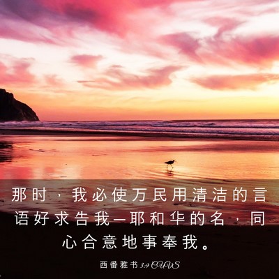 Picture 03 - 西 番 雅 书 3:9 CUVS - 那 时 ， 我 必 使 万 民 用 清 洁 的 - Bible Verse Picture
