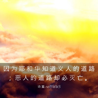 Picture 03 - 诗 篇 1:6 CUVS - 因 为 耶 和 华 知 道 义 人 的 道 路 - Bible Verse Picture